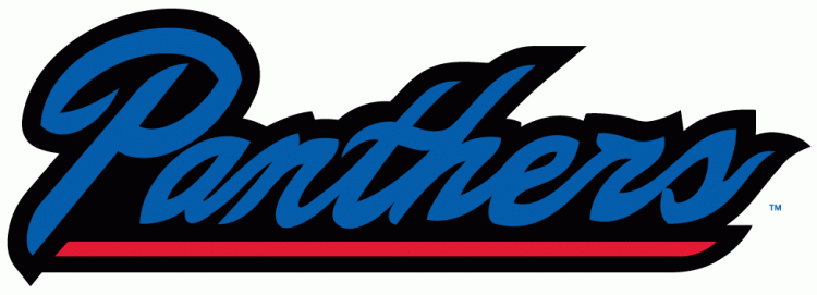 Georgia State Panthers 2010-Pres Wordmark Logo v4 diy iron on heat transfer